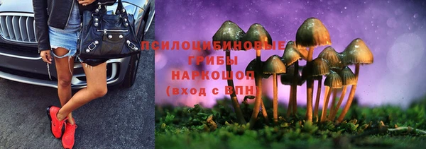 амф Вяземский